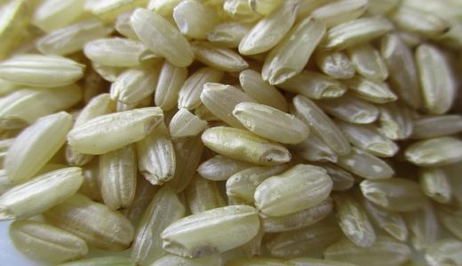 玄米も産地が重要！日本で1番体に良い玄米はササニシキでした。